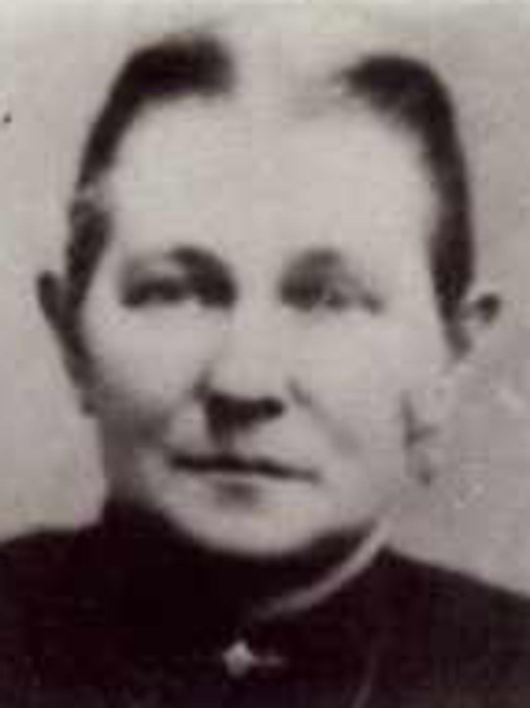 Esther Sargent (1850 - 1921) Profile
